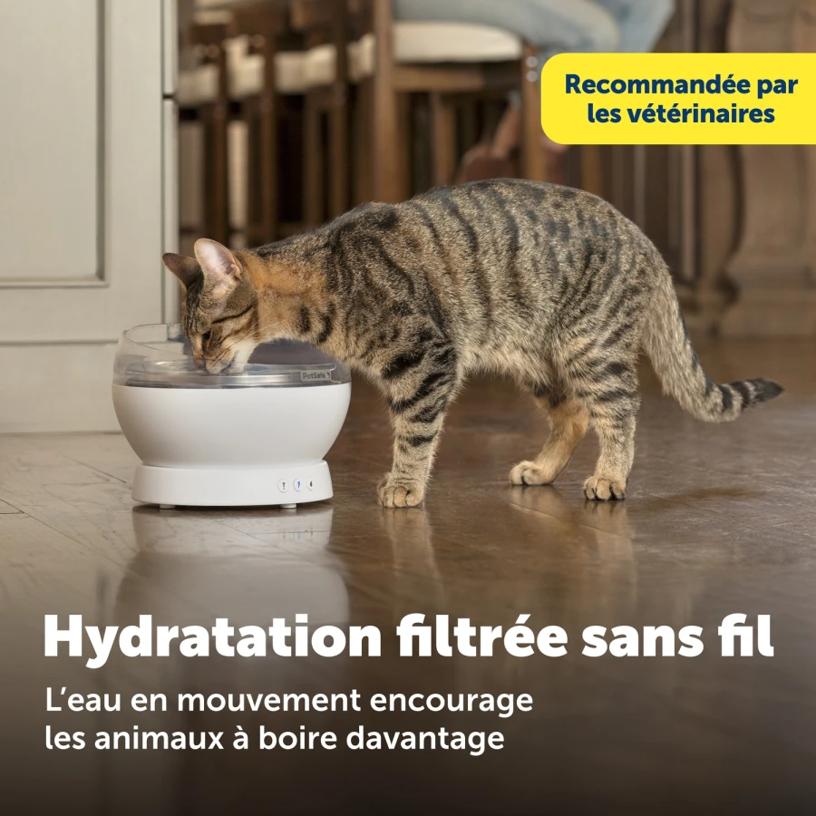 Fontaine Hydrosphere 1.7L blanche
