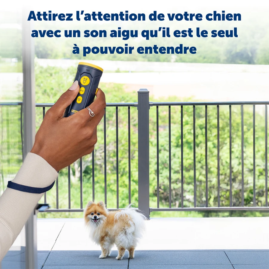 Système d'aide à l'éducation ultrason