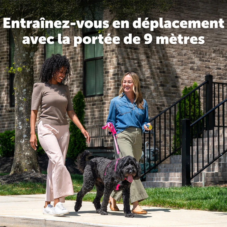 Système d'aide à l'éducation ultrason