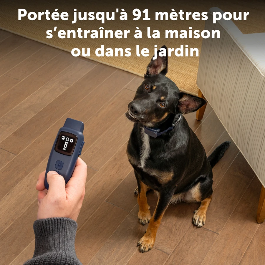 Système d'aide à l'éducation 90 m - Basic