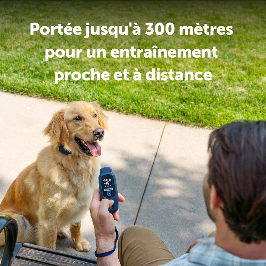 Système d'aide à l'éducation 300m - Core