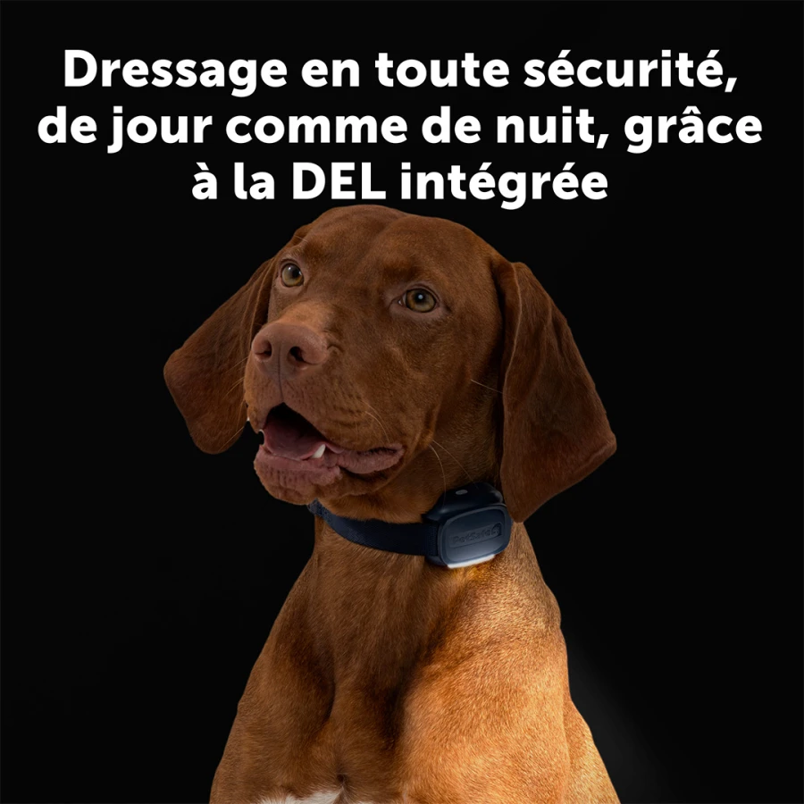 Système d'aide à l'éducation 300m - Core