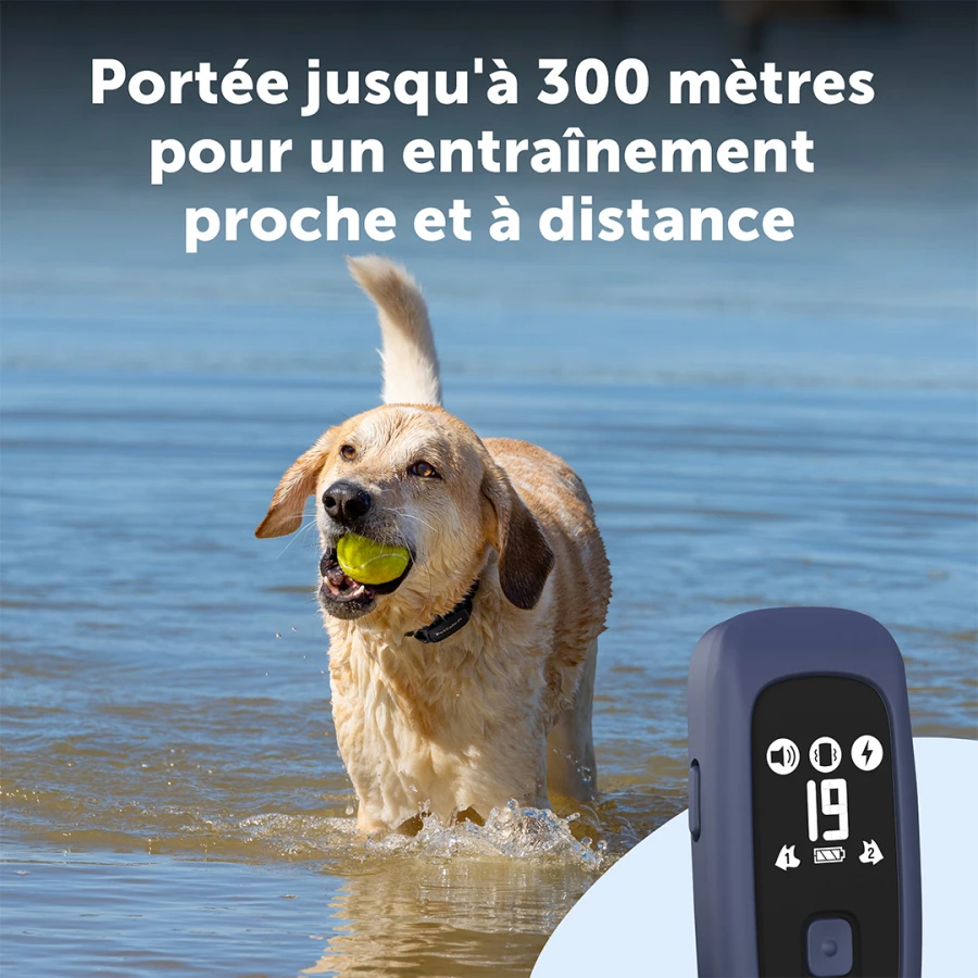 Système d'aide à l'éducation 300m - Pro