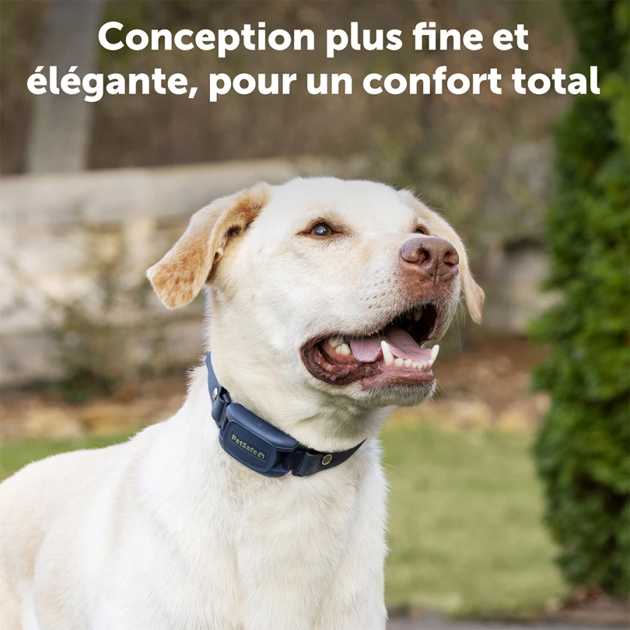 Système d'aide à l'éducation 300m - Pro