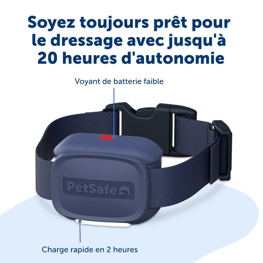 Collier sup système éducation - Core