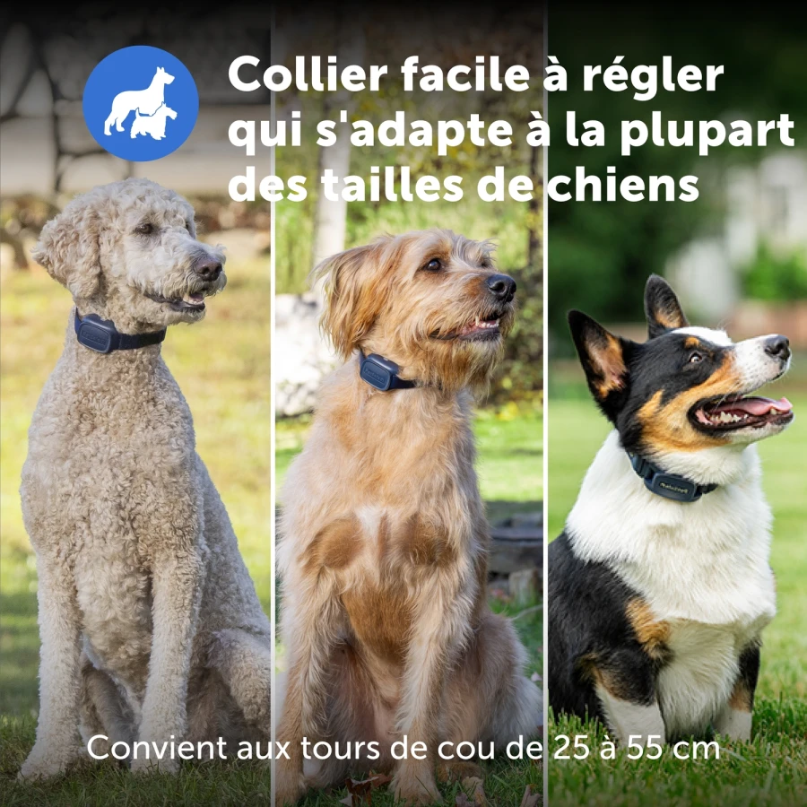 Collier sup système éducation - Core