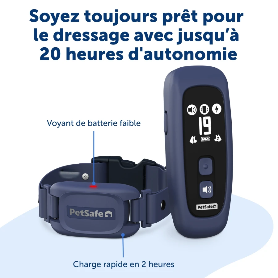 Collier sup système éducation - Pro