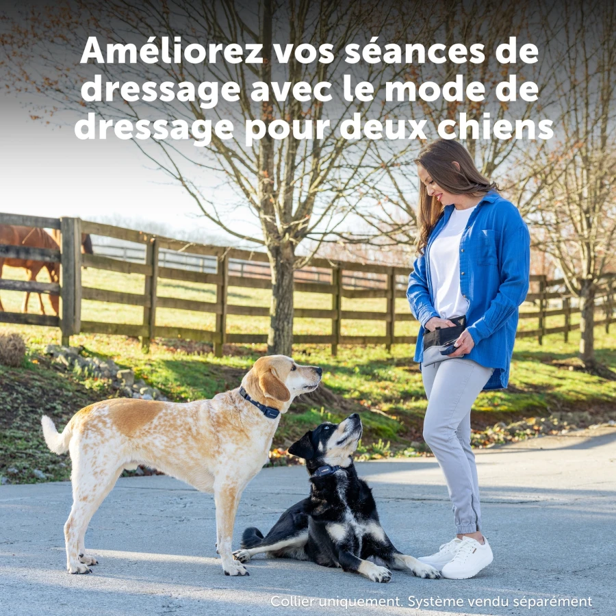 Collier sup système éducation - Pro