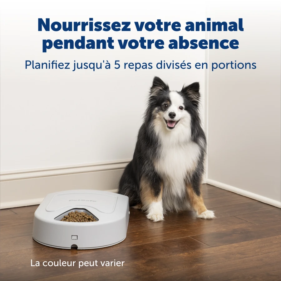 Distributeur automatique 5 repas