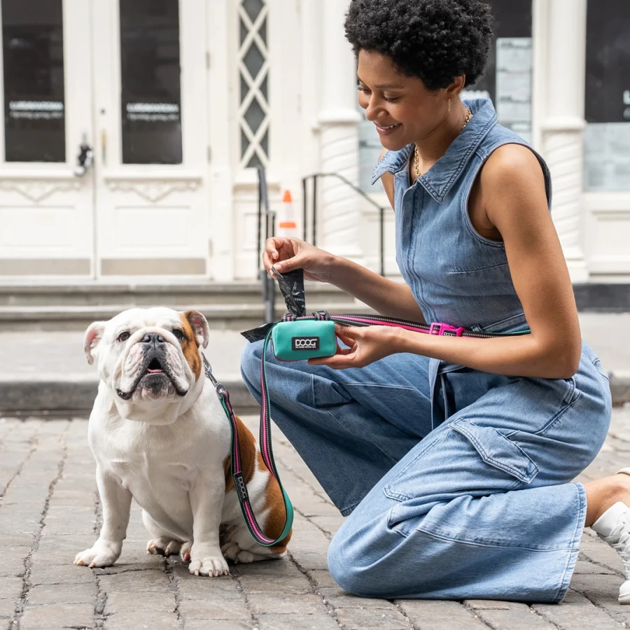 Distributeur de sacs a déjections - Rintintin