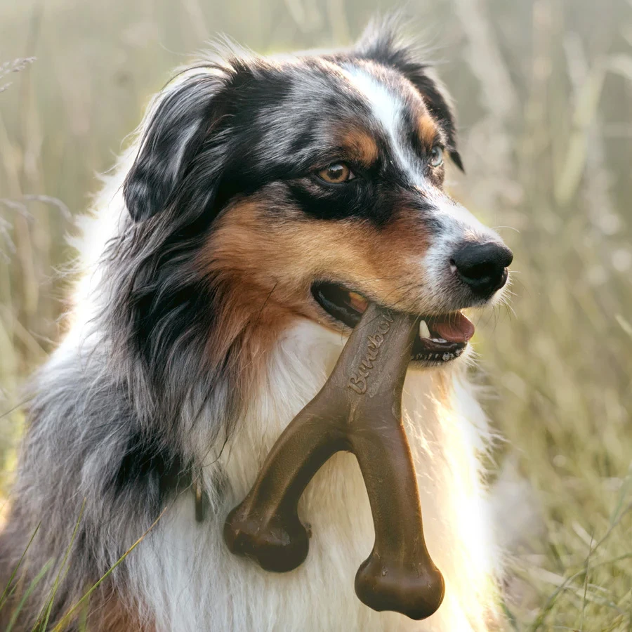 Wishbone peanut