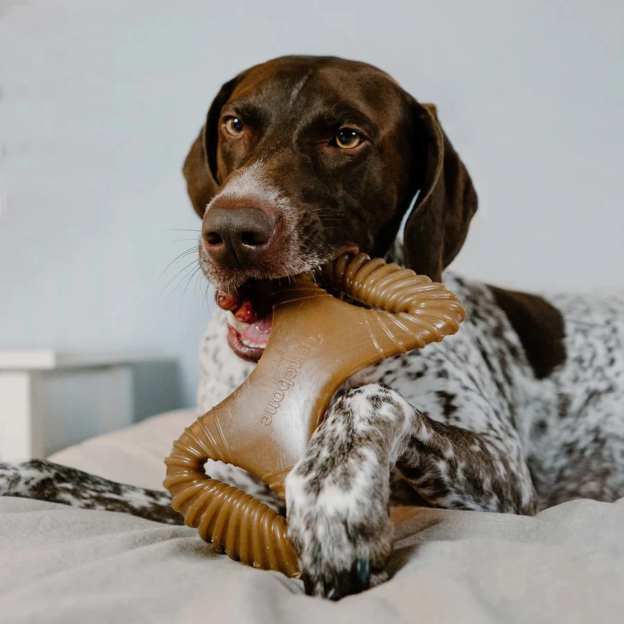 Dental Chew bacon