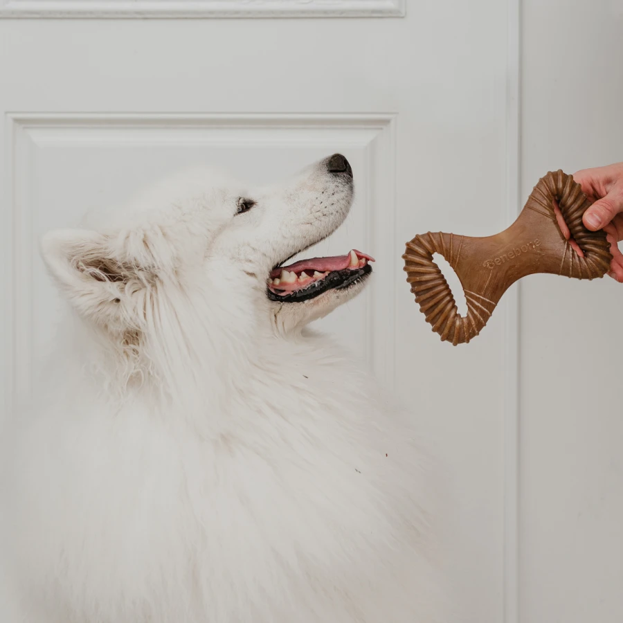Dental Chew bacon
