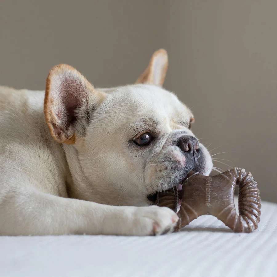Tiny Pack - Dental Chew / Wishbone bacon