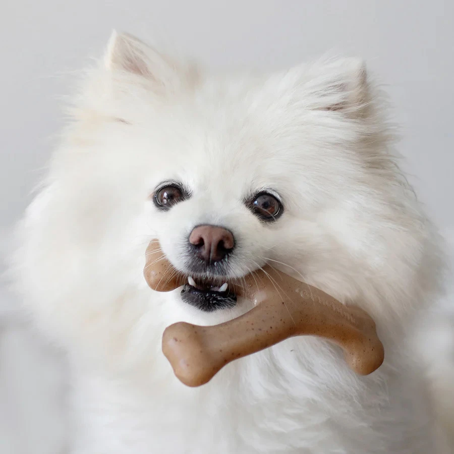 Tiny Pack - Dental Chew / Wishbone bacon