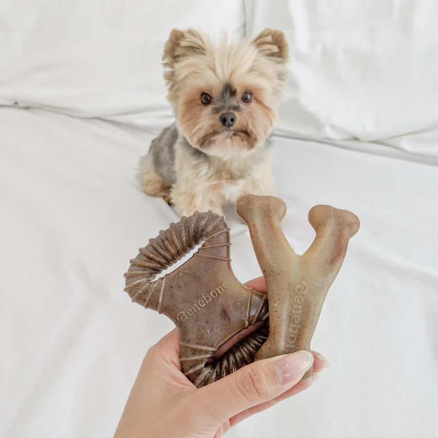 Tiny Pack - Dental Chew / Wishbone bacon