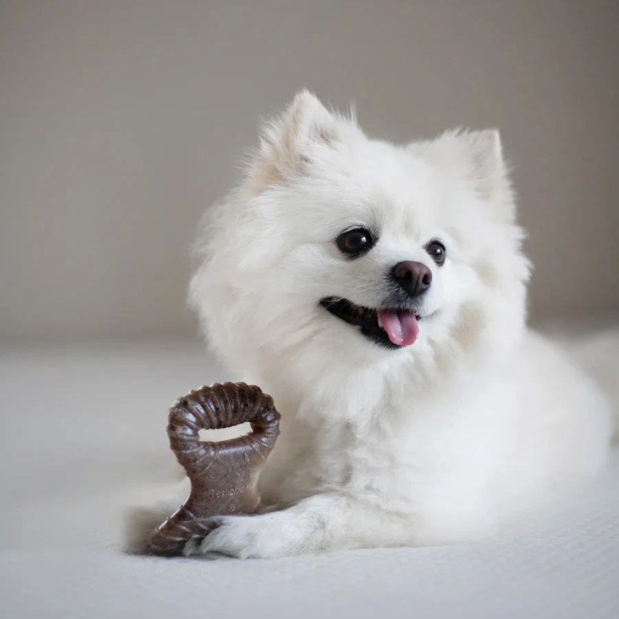 Tiny Pack - Dental Chew / Wishbone bacon
