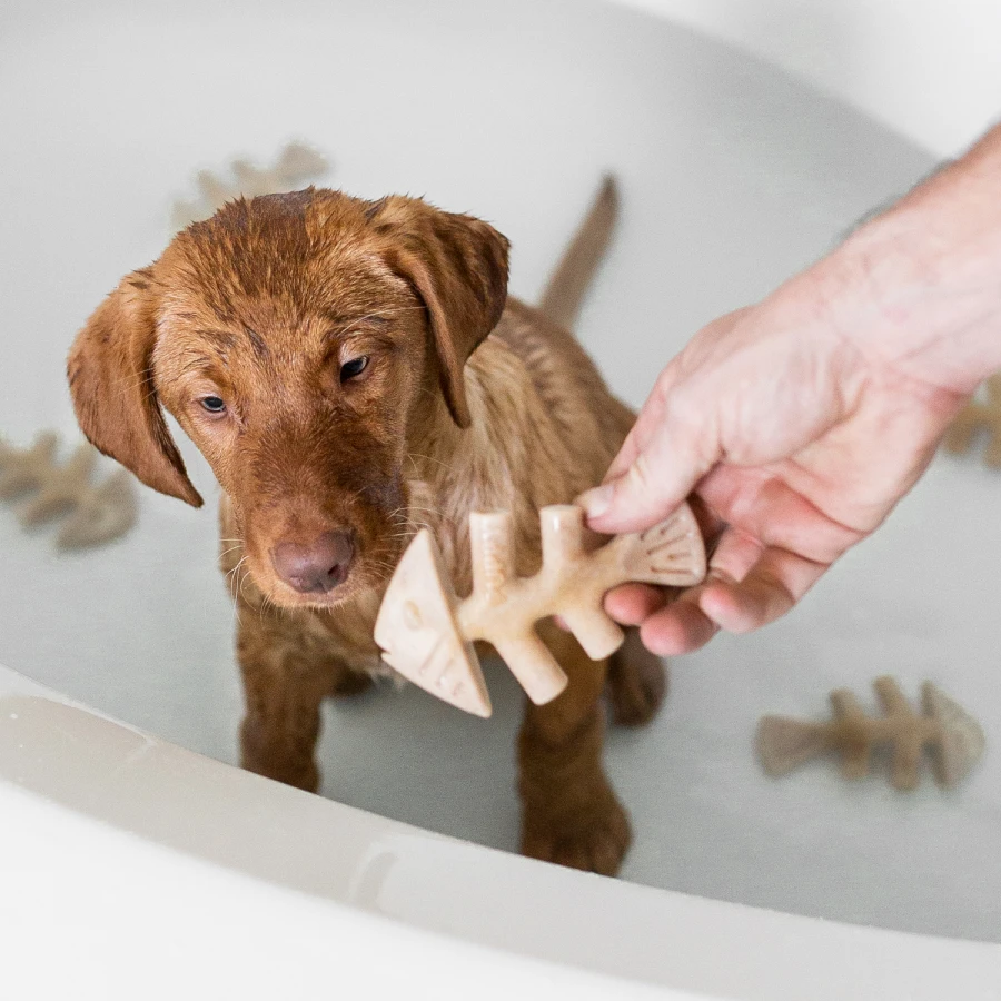 Puppy Pack Fishbone