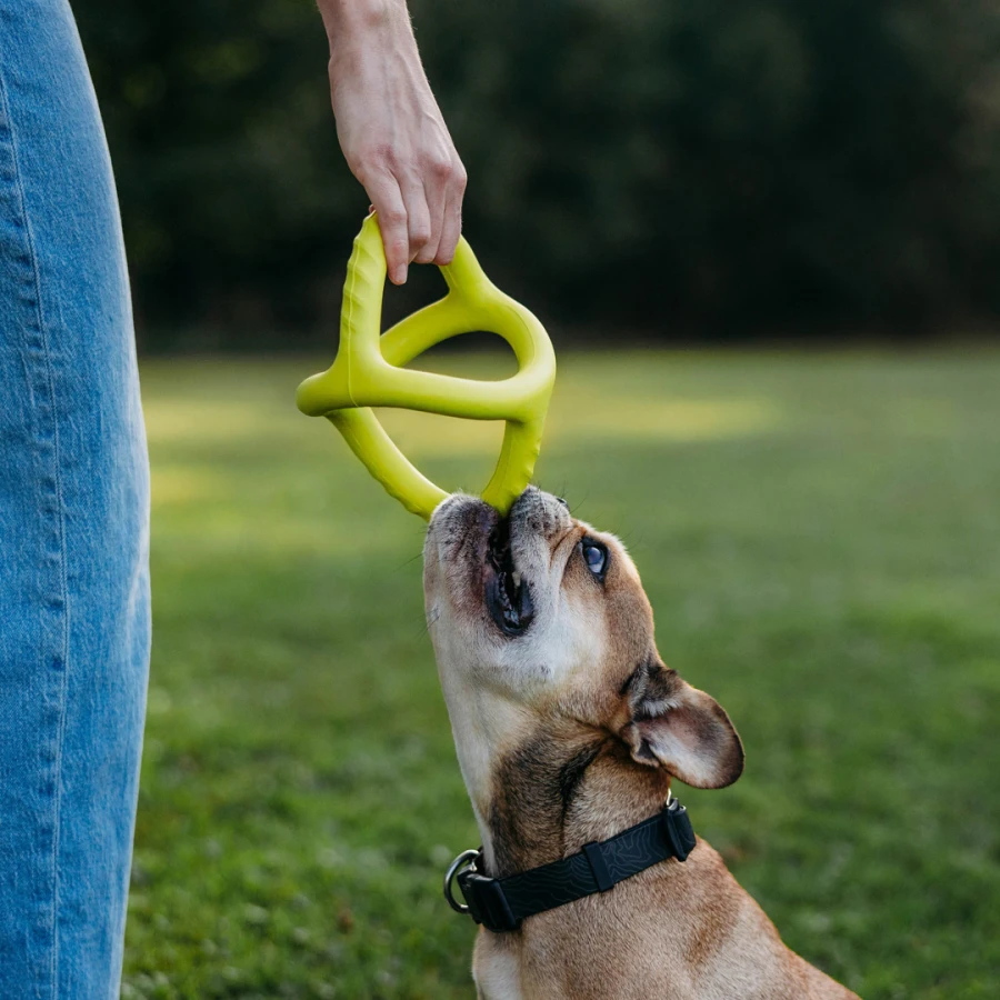 Bounce Tug