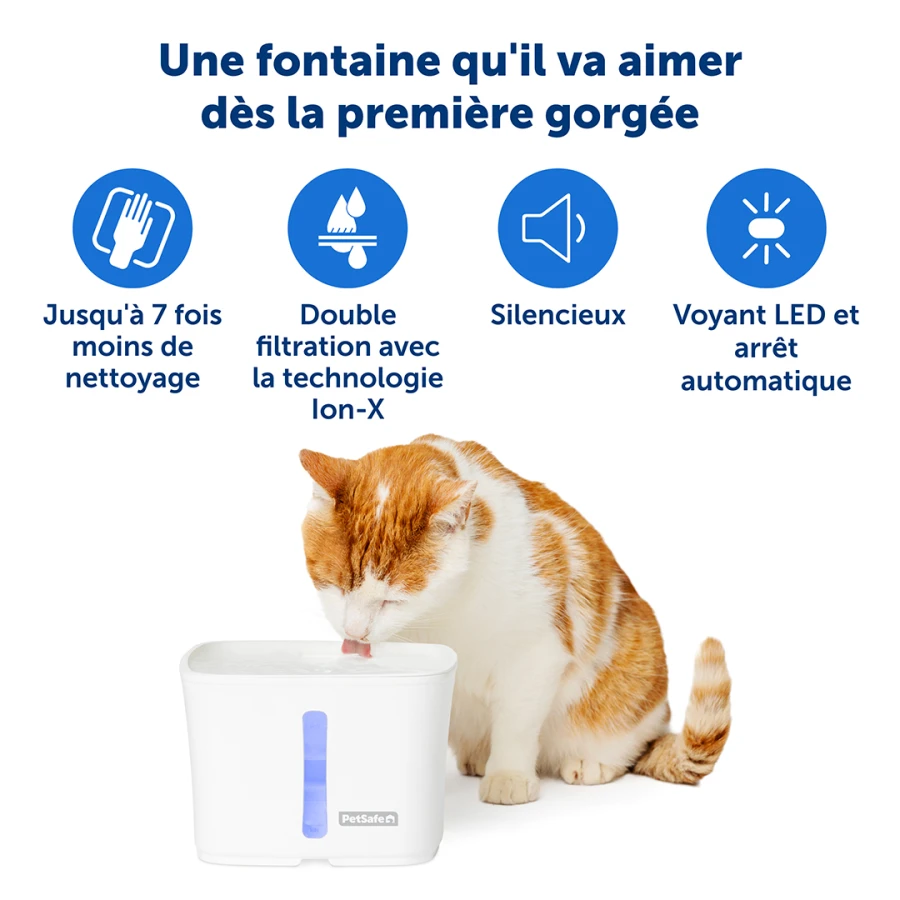 Fontaine Viva