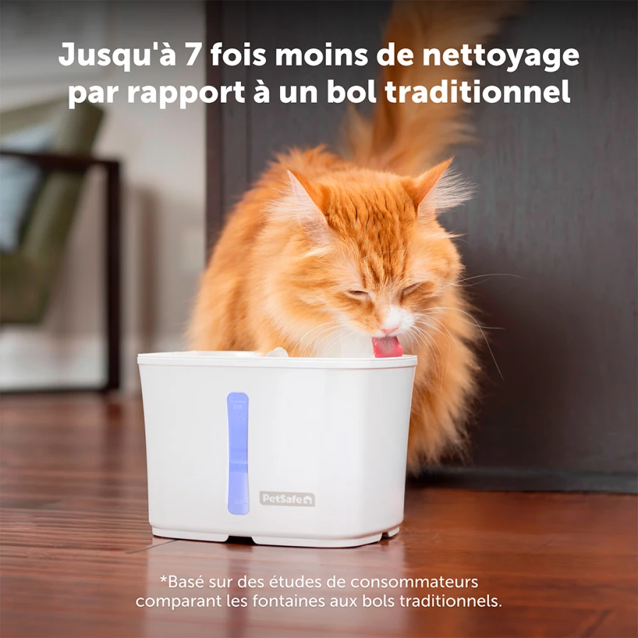 Fontaine Viva
