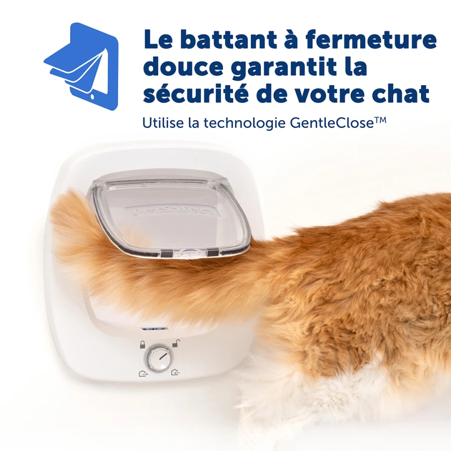 Porte Big Cat 2.0