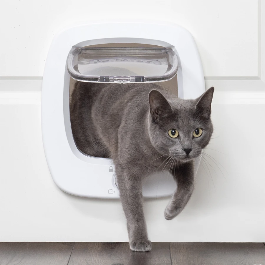 Porte Big Cat 2.0