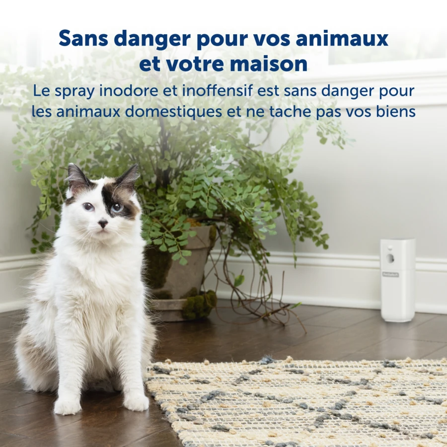 Répulsif chat SSSCAT V2