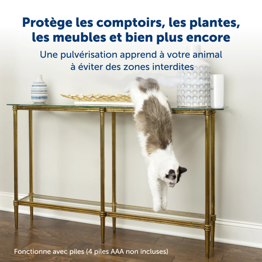 Répulsif chat SSSCAT V2