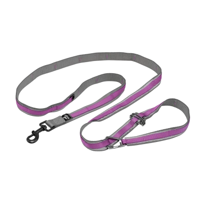 Laisse 6 positions - Quantum violet
