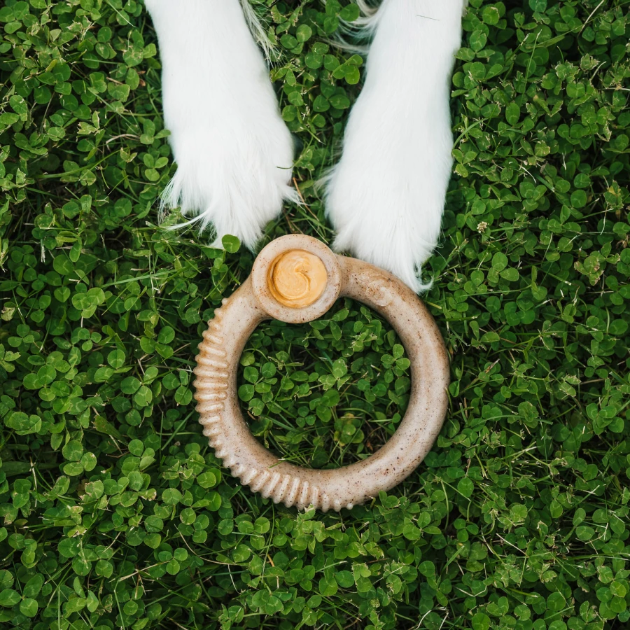 Ring bacon