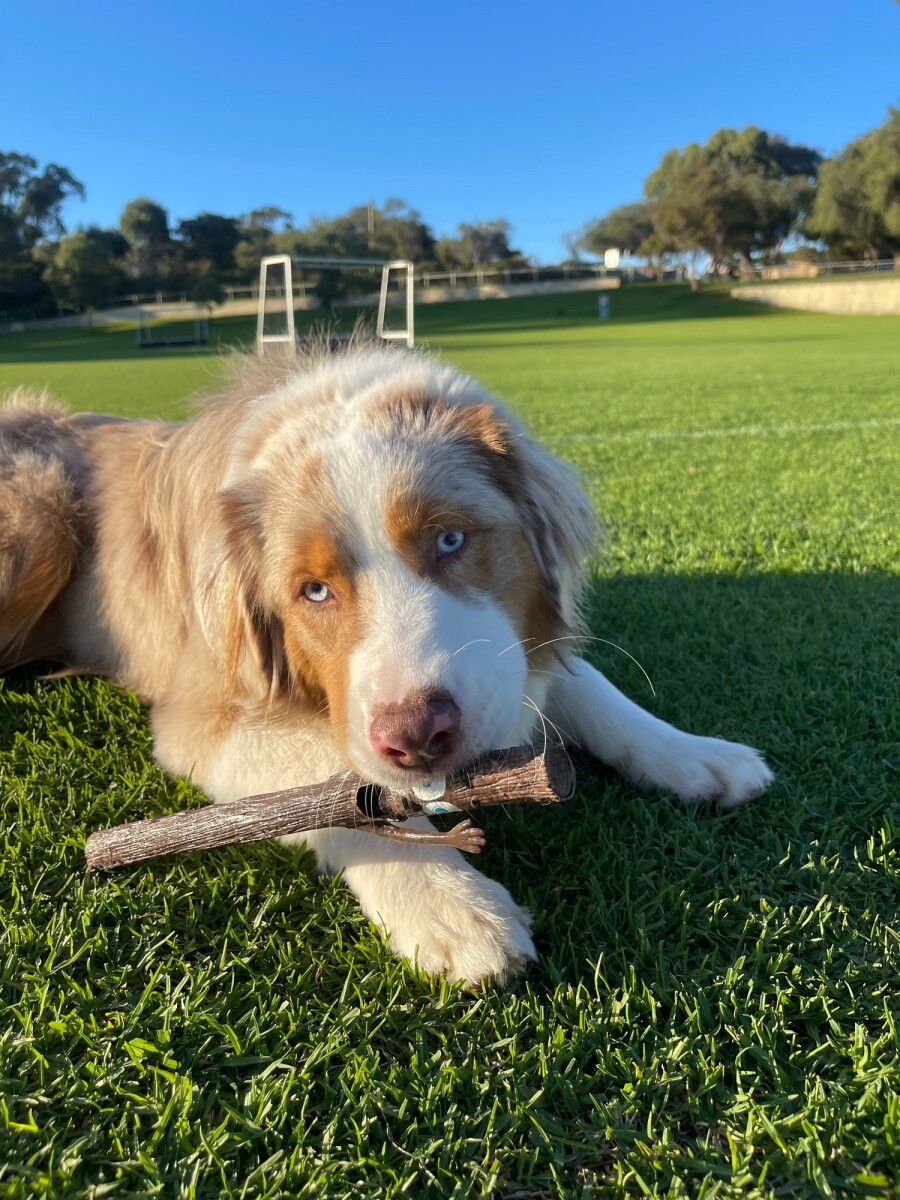 Image produit 7