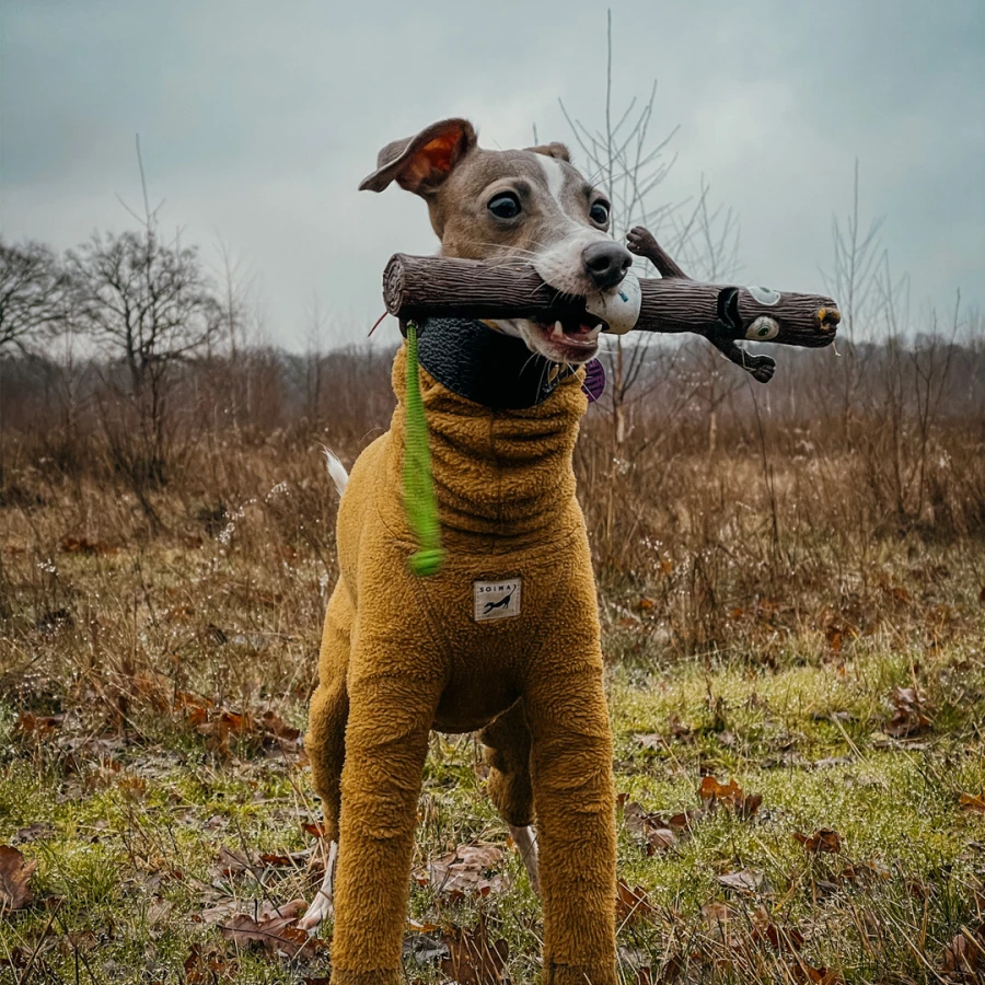 Jouet bâton The Sticks - Baby Barkley