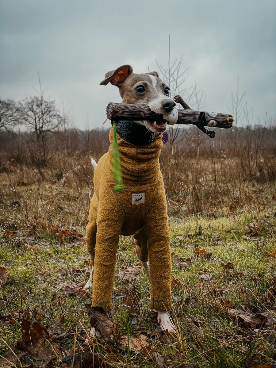 Jouet bâton The Sticks - Baby Barkley