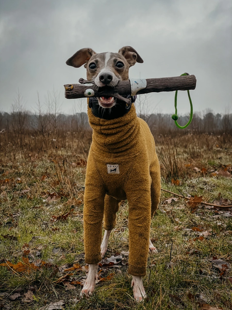 Jouet bâton The Sticks - Baby Barkley