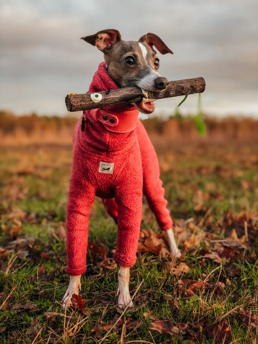 Jouet bâton The Sticks - Baby Barkley