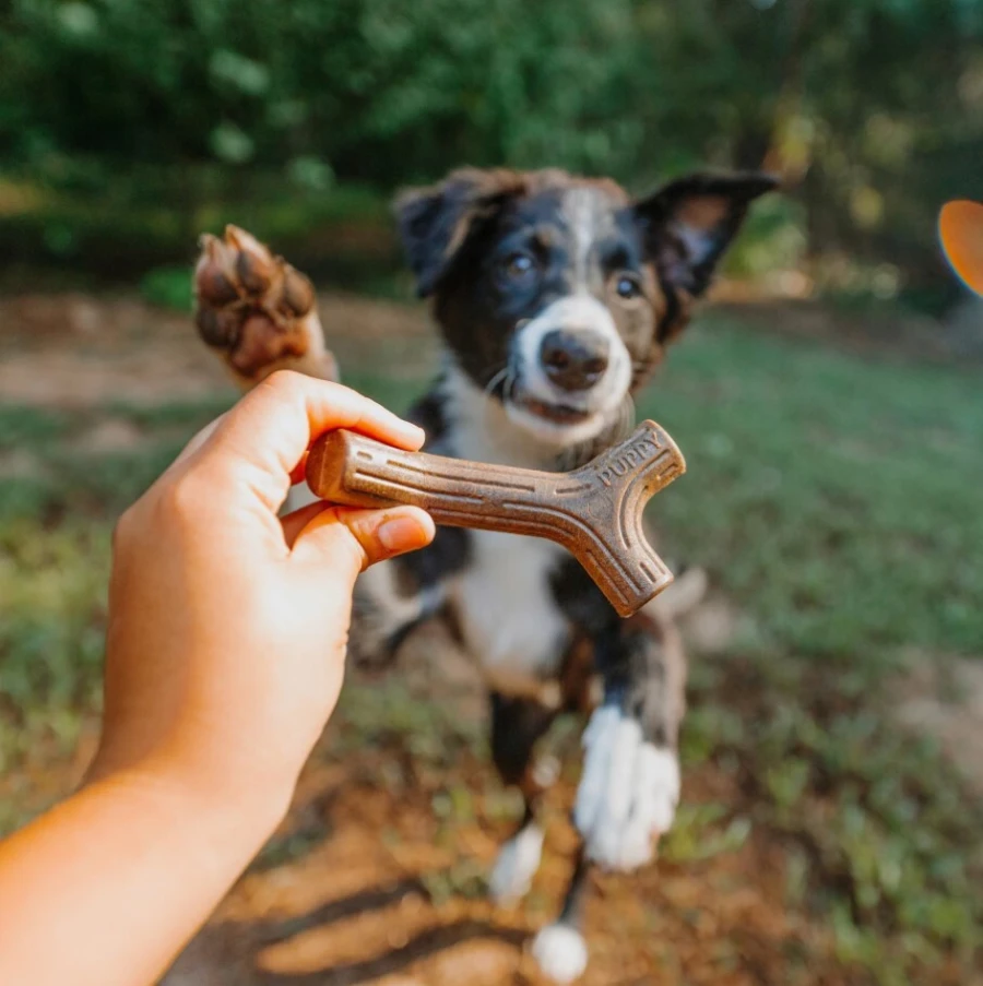 Puppy Pack Maplestick - Zaggler bacon
