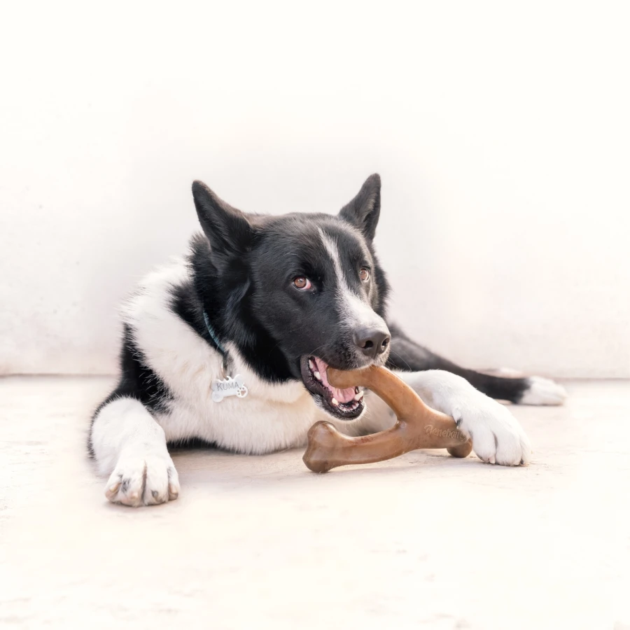 Wishbone bacon