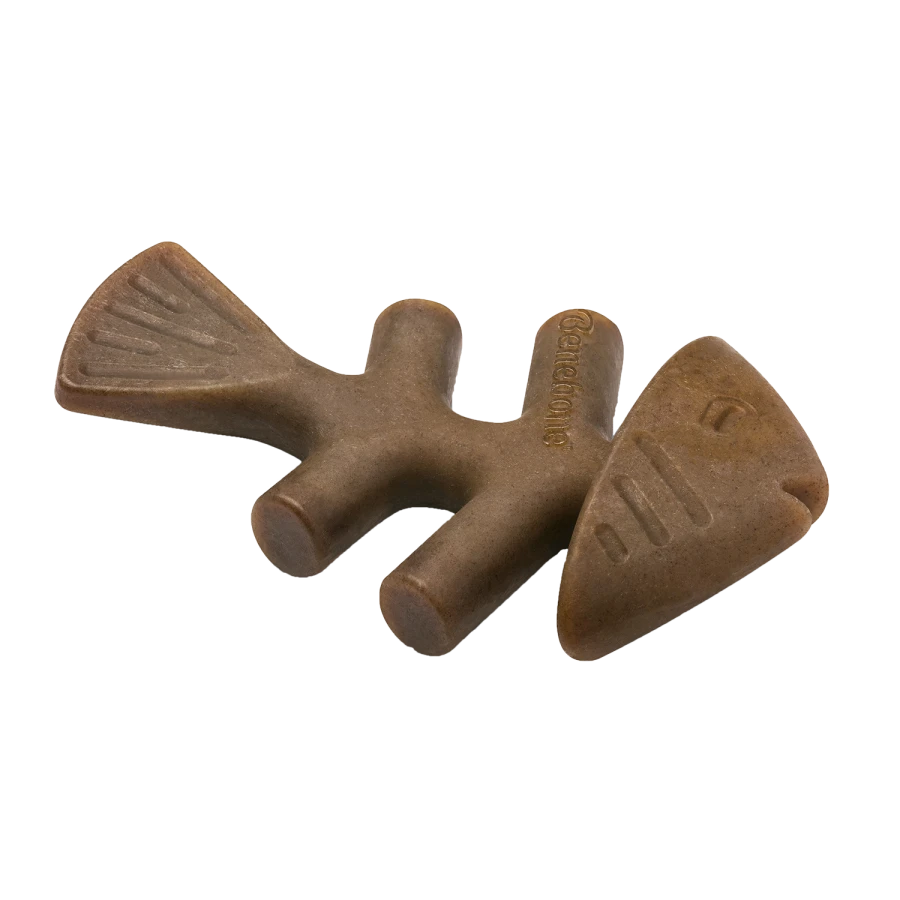 Fishbone