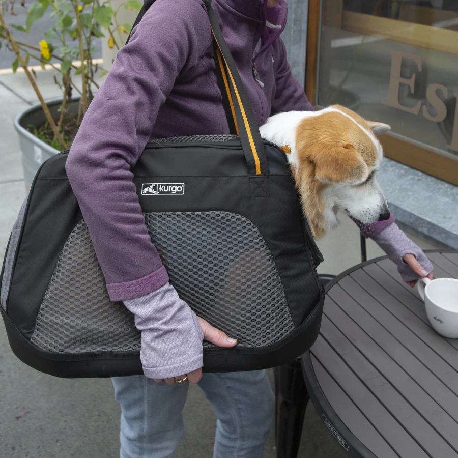 Sac de transport - Explorer