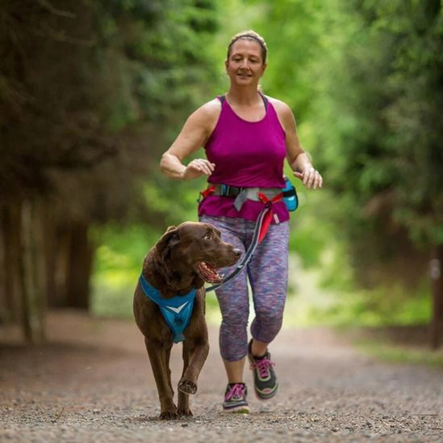 Ceinture canicross - On Trail