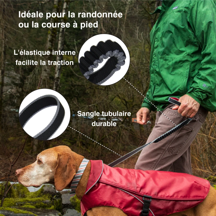 Laisse de traction - Springback