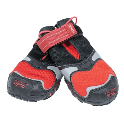 Chaussures pour chien - Blaze Cross