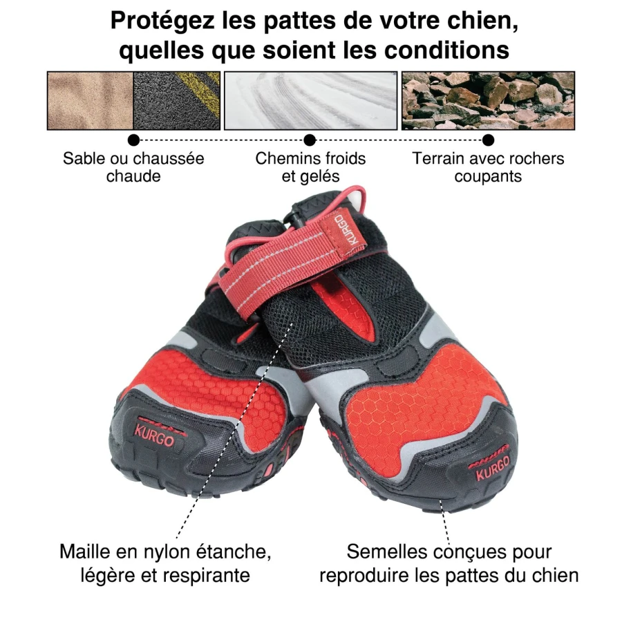 Chaussures pour chien - Blaze Cross