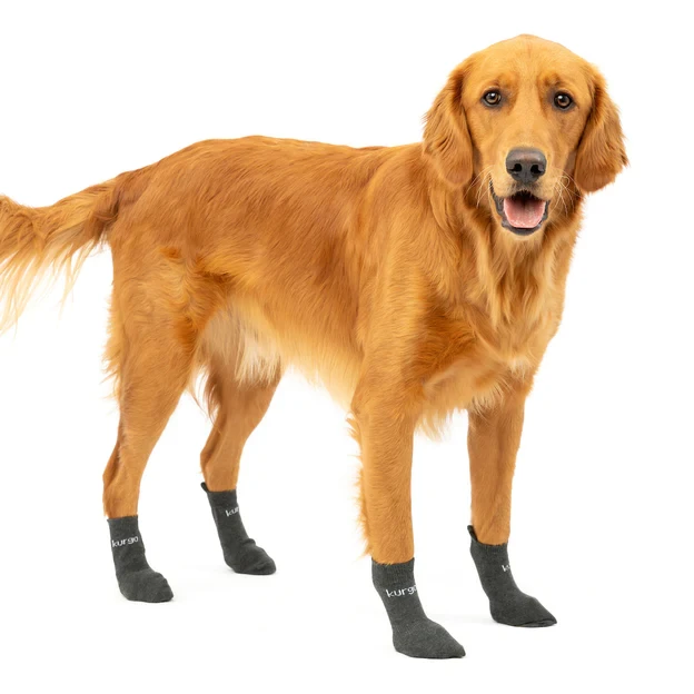 Chaussettes - Blaze