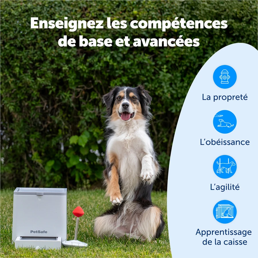 Système d'éducation positive Teach&Treat