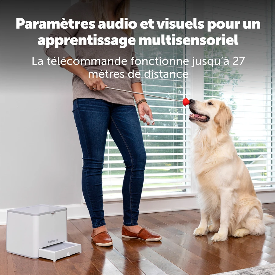 Système d'éducation positive Teach&Treat