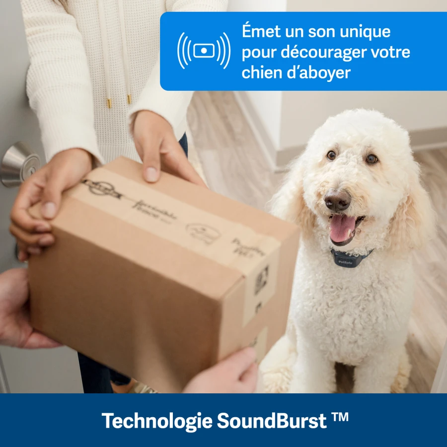 Antiaboiement sonore rechargeable