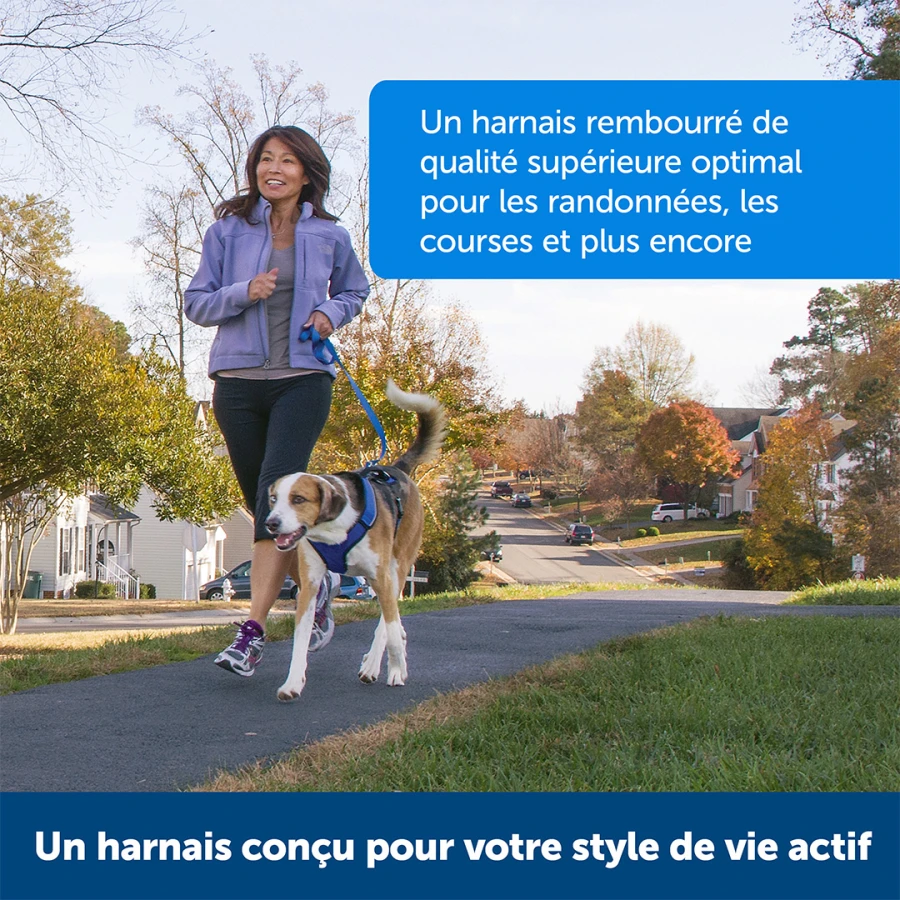 Harnais EasySport rouge