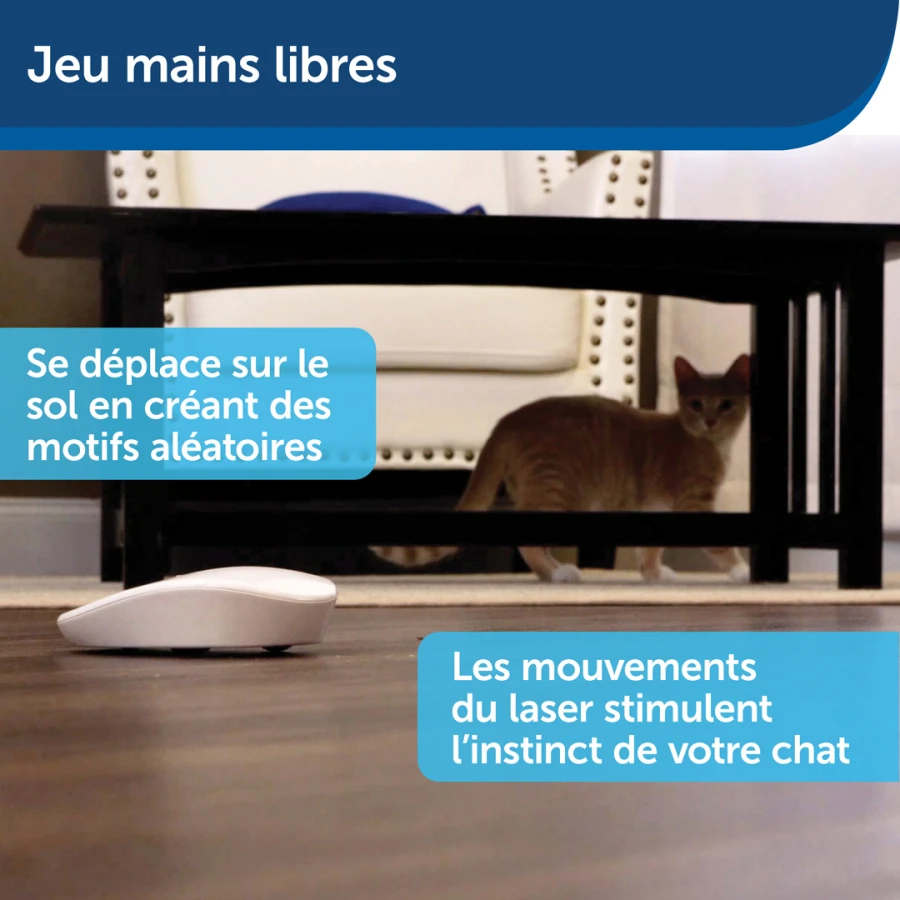 Jouet laser - Laser Tail